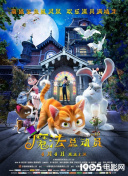 幽暗探险中的隐秘地点：你必须探索的角落